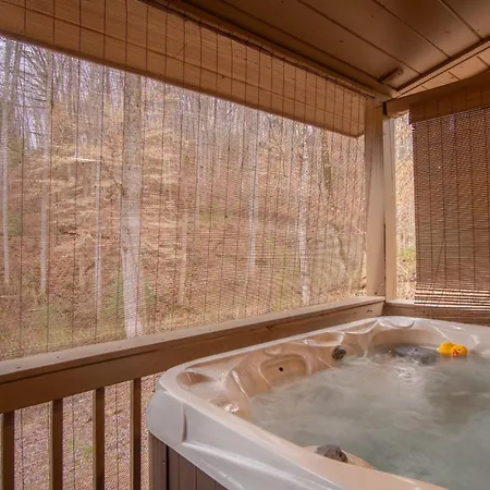 Cozy Cabin Retreat: Tiny Trotter